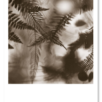 Iain Sarjeant limited edition-print-print