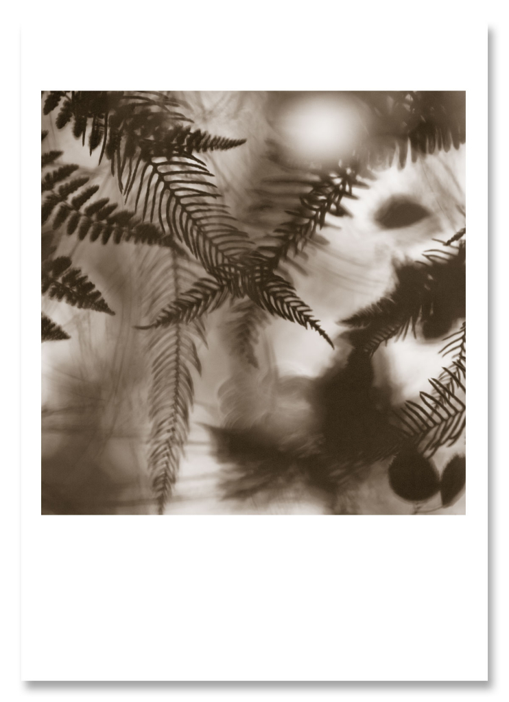 Iain Sarjeant limited edition-print-print