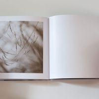 Iain Sarjeant The Pool Spread