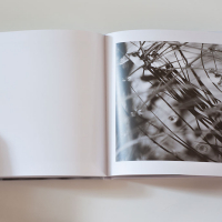 Iain Sarjeant The Pool Spread