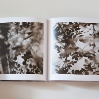 Iain Sarjeant The Pool Spread