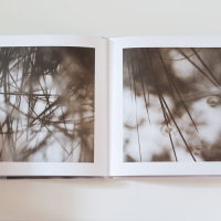 Iain Sarjeant The Pool Spread