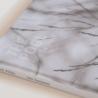 The Pool Book Iain Sarjeant