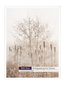 With Trees by Dav Thomas from Triplekite Publishing