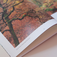 Dav Thomas With Trees