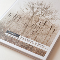 Dav Thomas With Trees cover