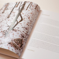 Dav Thomas With Trees