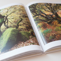 Dav Thomas With Trees