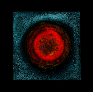 iona sun print limited edition aul kenny print