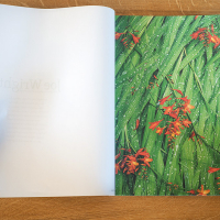 joe wright in land|sea bookzine