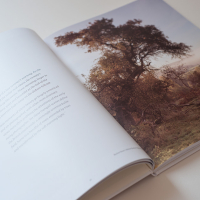 Dav Thomas With Trees