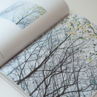 Dav Thomas With Trees