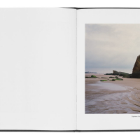 marc wilson last stand book