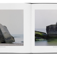 marc wilson last stand book