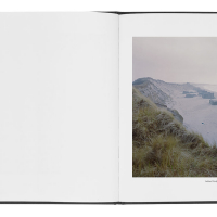 marc wilson last stand book