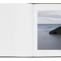 marc wilson last stand book