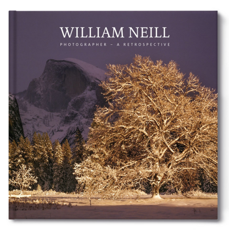 standard william neill retrospective